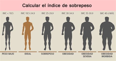 C Mo Calcular El Ndice De Masa Corporal Imc