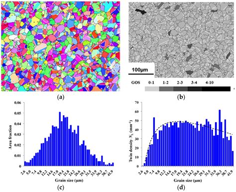 Metals Free Full Text Evolution Of The Annealing Twin Density