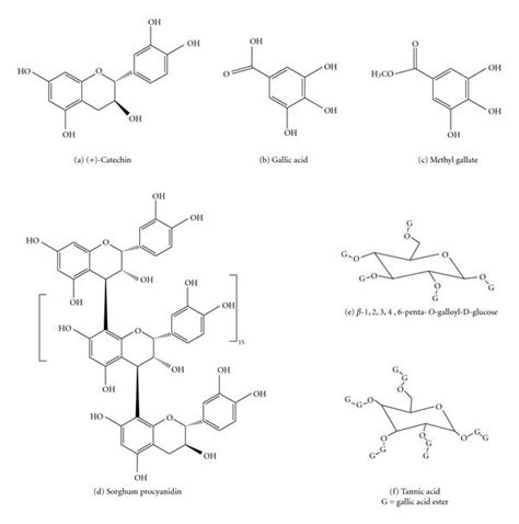 Chemical Structures For A Catechin Cat B Gallic Acid Ga Download Scientific