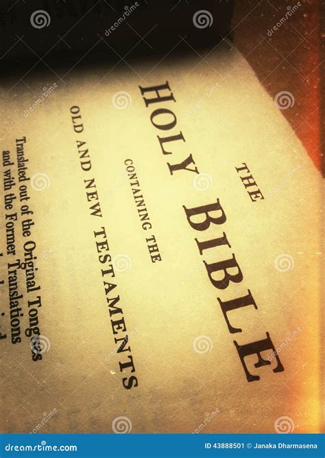Bible The Holy Bible 7