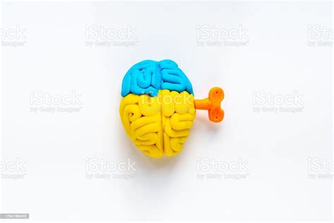 Ideas Concept Work Of Brain Model Made Of Colorful Clay Top View Stock Photo - Download Image ...