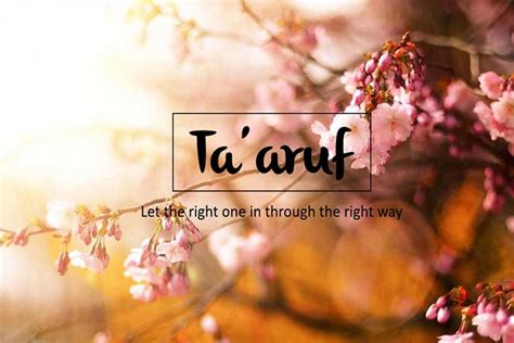 taaruf  benar menurut islam berita
