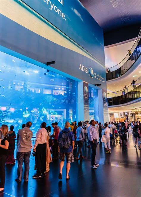 View of Dubai Aquarium Inside Dubai Mall Editorial Image - Image of ...