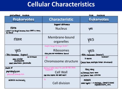 Cell Biology Exam 1 Flashcards Quizlet