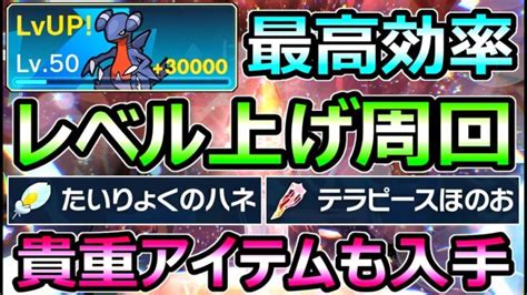 【ポケモンsv】最強レベル上げ 序盤から最高効率周回 経験値と貴重アイテム 爆稼ぎする方法【スカーレット バイオレット】 ポケモンgo動画まとめ