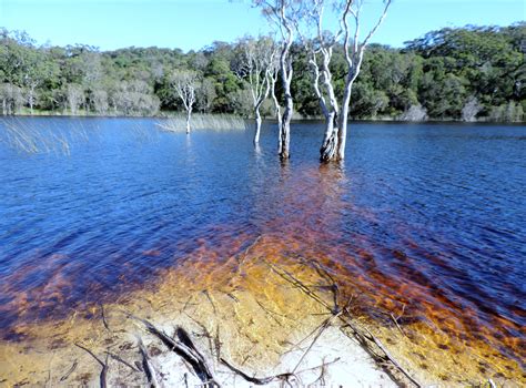 Lake Poona near Rainbow Beach Great Sandy National Park Rainbow Beach ...