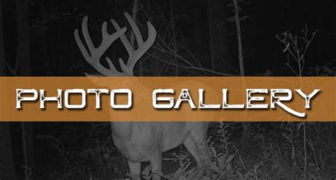 Illinois Ohio Valley Trophy Hunts Llc Illinois Whitetail Deer Hunting