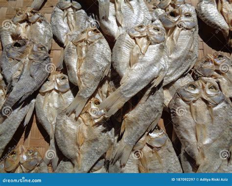 Proceso De Secado De Pescado Salado Con Fondo Natural Pescado Crudo