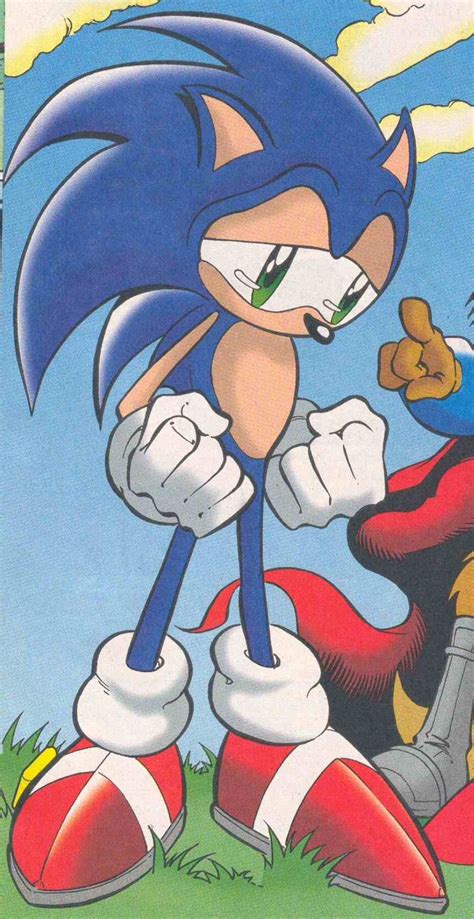 Sonic the Hedgehog Playing Soccer