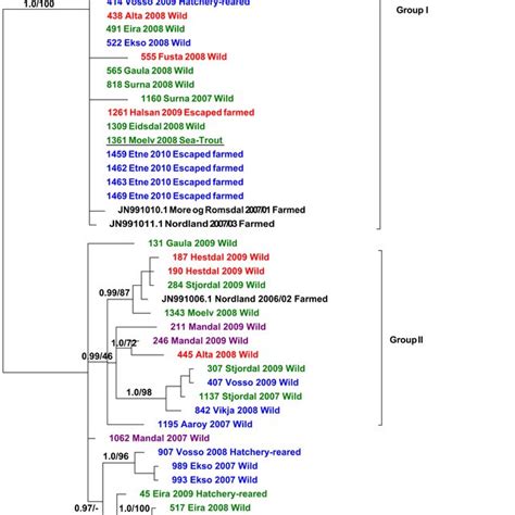 Resulting Phylogenetic Tree Derived From Bayesian Analysis Of The