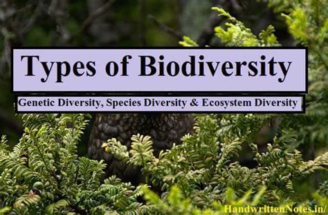 Types of Biodiversity: Genetic, Species & Ecosystem | HandwrittenNotes