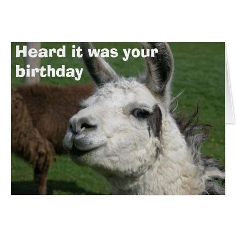 Llama Birthday Card Zazzle