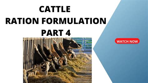 Dairy Cattle Ration Formulation Part 4 YouTube