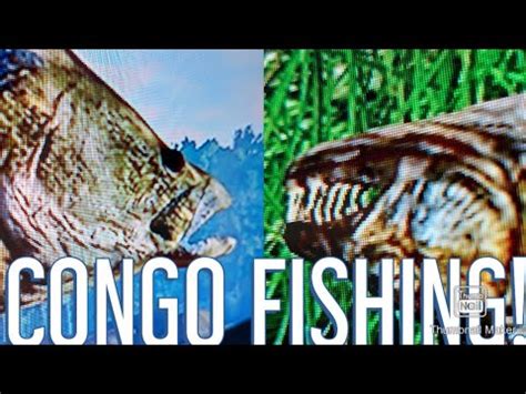 Slayin Congo Monsters Fishing Planet Youtube