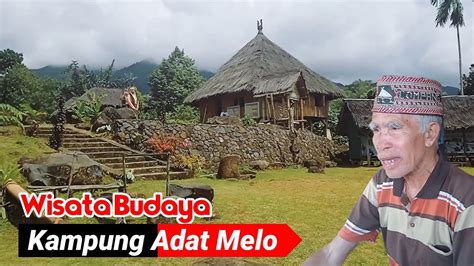 Melihat Eksotisme Kampung Adat Melo Labuan Bajo Wisata Budaya