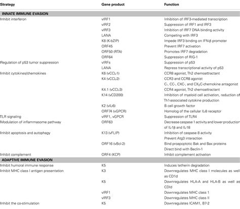 Frontiers Modulation Of Immune System By Kaposis Sarcoma Associated