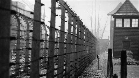 Auschwitz La Pesadilla Más Oscura Infobae