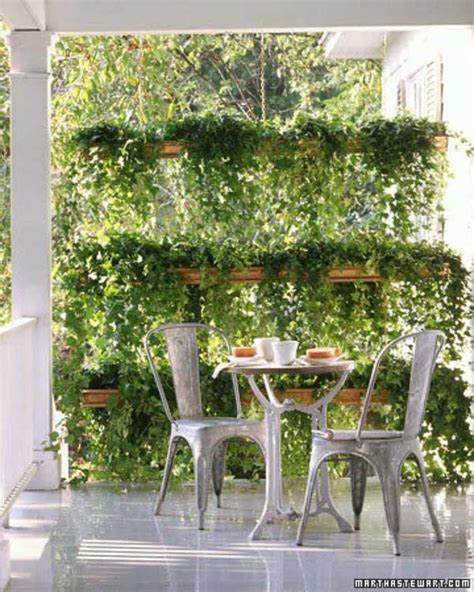 Add Privacy to Your Garden or Yard with Plants - Amazing DIY, Interior & Home Design