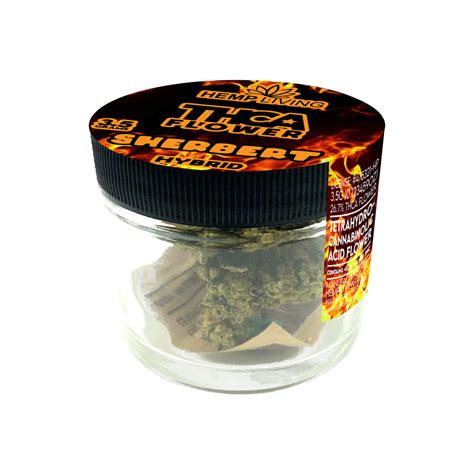 Hemp Living Thca Flower 3 5g Jar Sherbert Hemp Living Usa