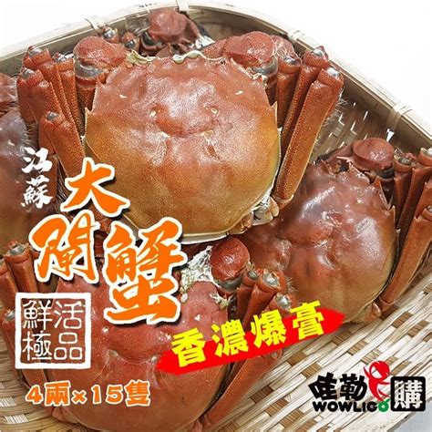 江蘇大閘蟹~正港大閘蟹4兩±5 買15隻送3隻 免運 哇勒購 新鮮水果海鮮購物網｜進口水果｜櫻桃｜明蝦｜香魚