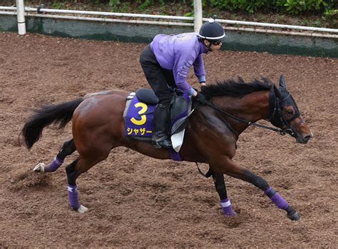 【ダービー】シャザーン、坂路馬なりで59秒7 友道師「いい状態」東京への舞台替わりも歓迎 3歳馬特集 競馬写真ニュース 日刊スポーツ