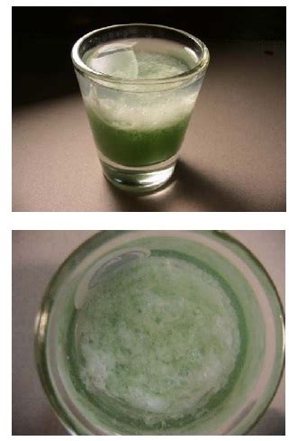 How To See DNA With The Naked Eye Biology Science Fair Project Ideas