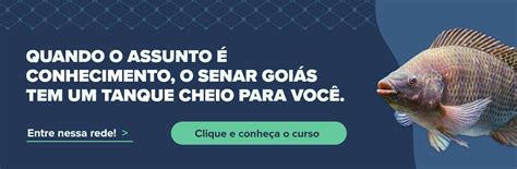 Os benefícios dos bioflocos na criação de peixes e camarões Senar Goiás