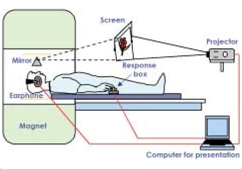 fMRI setup: Patient responds to the visual/auditory stimuli using the ...