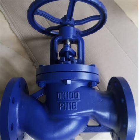 Jual Globe Valve Cast Iron Pn 16 12 Inch Steam Ci Pn16 Jakarta Barat Goldnindomajuperkasa