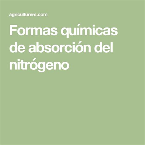 Formas Qu Micas De Absorci N Del Nitr Geno Qu Micas Formas Agricultura