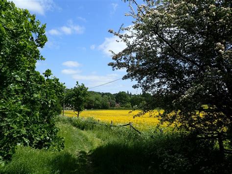 The Vanguard Way Near Dairy Lane Marathon Cc By Sa 2 0 Geograph