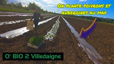 On plante au MAX pour rattraper le retard du à la pluie oui la pluie