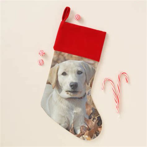 Yellow Labrador Retriever Puppy Christmas Stocking | Zazzle