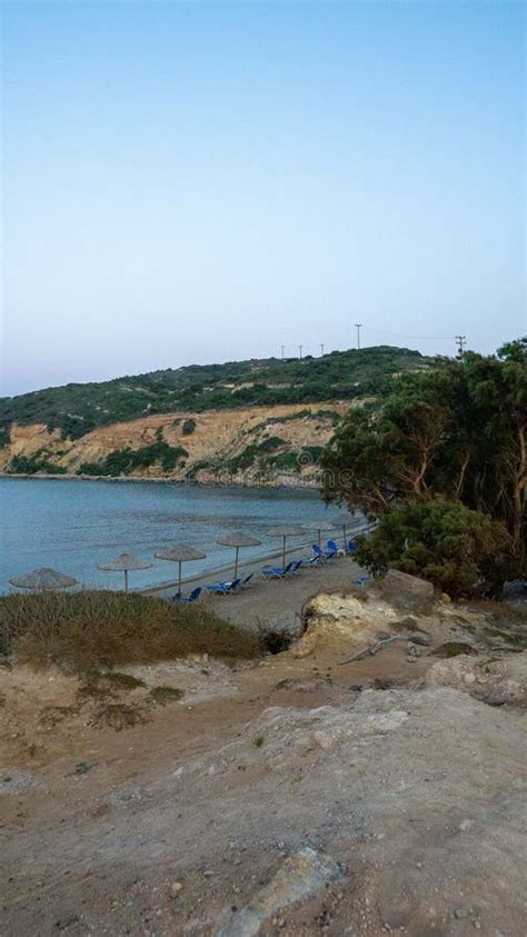 Plan Vertical D Une Plage Avec Parasols En Chaume Et Transats Sur Le