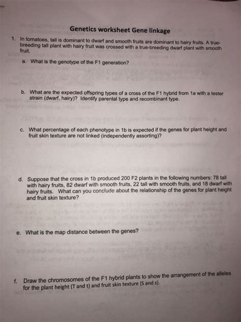 Solved Genetics Worksheet Gene Linkage 1 In Tomatoes Tall