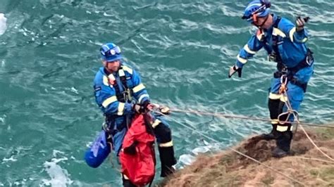 Coastguard Warning To Walkers After Dog Rescued From Bottom Of Padstow