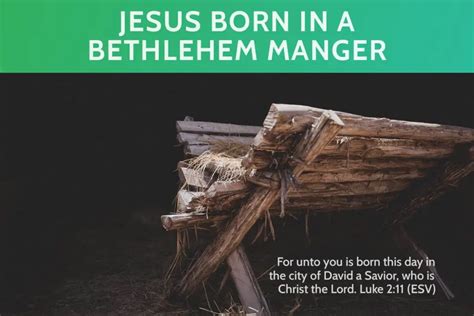 Jesus Born In A Bethlehem Manger Significance Meaning Pursuit Bible