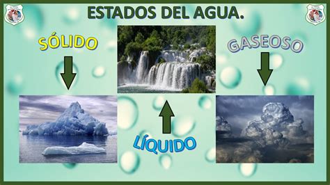 Guia Cambios Causados Por El Agua Ciencias Naturales Primero Basico