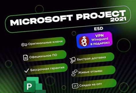 Microsoft Project Pro Esd Festima Ru