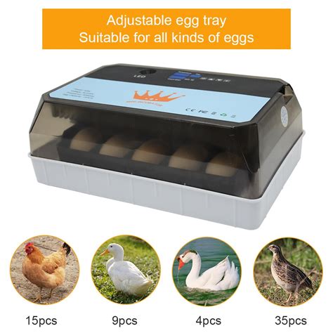 Mini incubadora automática de 15 huevos para pollo Ganso pájaro