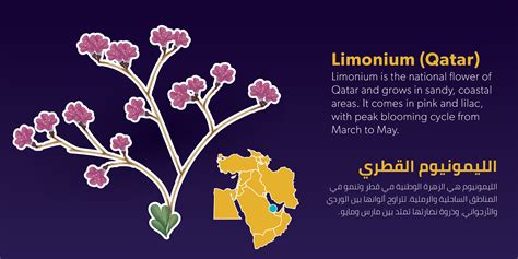 Happy #EarthDay! The... - Qatar Foundation International 