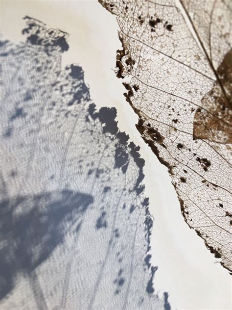 Naked Leaves BARNFLAKES