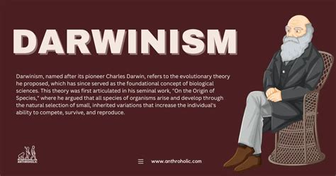 Theory Of Darwinism In Evolution Anthroholic