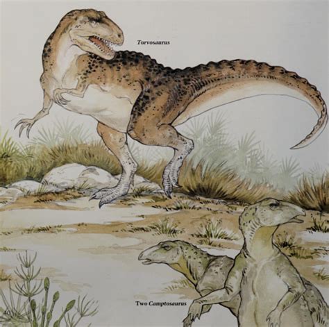 Torvosaurus Tyrannosaurus Rex And Its Kin New Ideas By Matt Weaver Wiki Fandom