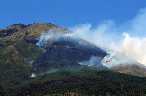 Kebakaran Hutan Gunung Sindoro Meluas