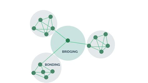 What Is Social Capital And How Do You Measure It MyHRfuture