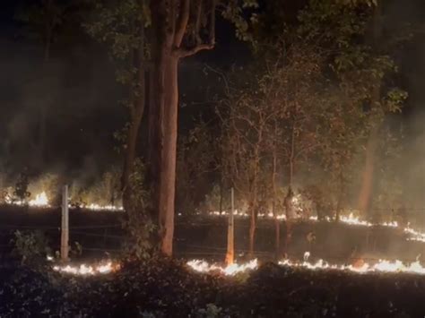 Fire Broke Out In The Pansara Forest Of Wadrafnagar Forest Range In