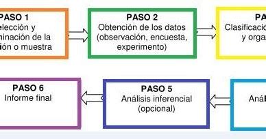 Estadística básica Fases de un Estudio estadístico