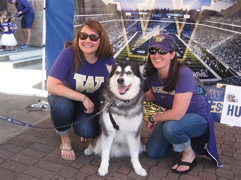 Photos: Remembering Dubs, the goodest retired UW mascot | Seattle Refined