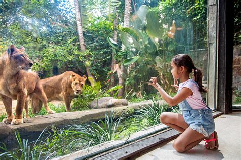 Bali Zoo Tickets Explore Over 12 Hectares Of Area